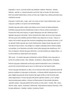 Zirkopības nozare 1
