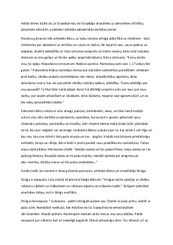 "Romāns ""Būris"": tēmas, simboli un vēstījums" 3