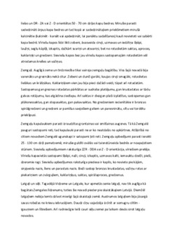 Kultūra Latvijas teritorijā aizvēstures periodā 3