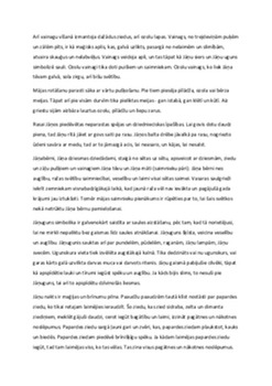 Jānu dienas tradīcijas 2