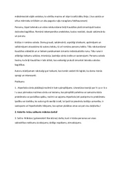 Romāna kompozīcija, mākslinieciskā savdabība 2