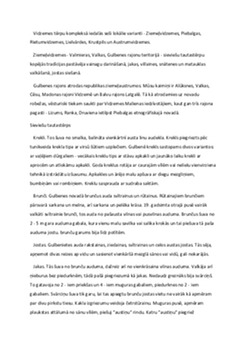Tautastērpi: kultūras mantojums un nozīme 1