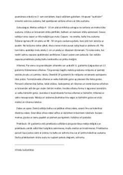 Tautastērpi: kultūras mantojums un nozīme 2