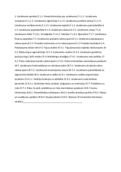 Uznemuma saturs kopsavilkums 1
