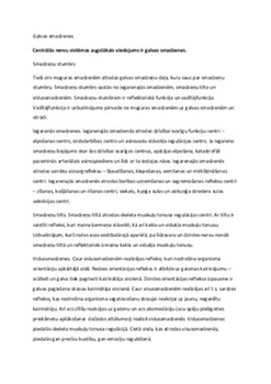 Galvas smadzenes 1