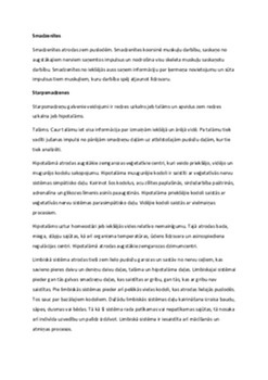 Galvas smadzenes 2