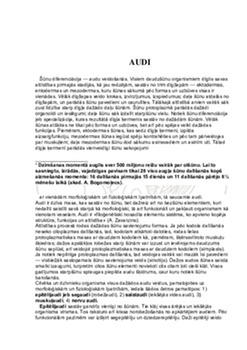 Audi un Šūnas 2