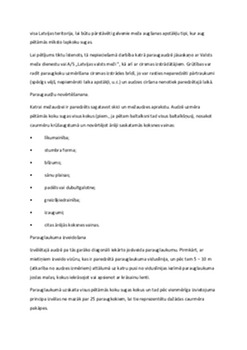 Baltalkšņu stumbru dimensionālais un kvalitatīvais novērtējums 3