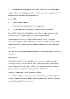 Basketbols: noteikumi un izcelsme 2