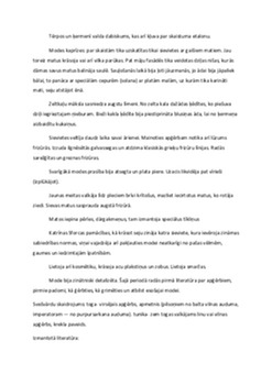 Renesanses mode un ikdiena 3