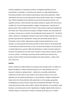 Senā Divupe: pirmo civilizāciju attīstība Mezopotāmijā 3