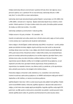 Ēģipte: valsts pārskats un politiskā situācija 3